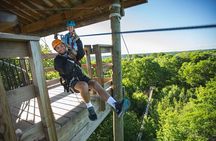 Minnesota River Valley 14-Line Thrilling Zipline Canopy Tour