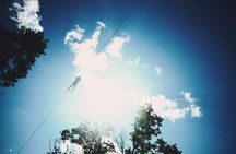 Minnesota River Valley 14-Line Thrilling Zipline Canopy Tour