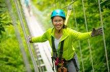 Minnesota River Valley 14-Line Thrilling Zipline Canopy Tour