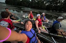 Private Clear Kayak Tour on Lady Bird Lake in Austin, Texas