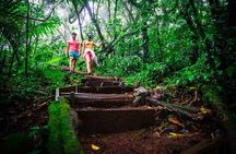 Shared Tour in Mombacho Natural Reserve and Canopy Adventures