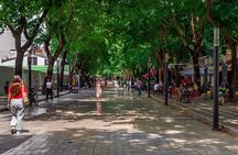  Cultural Tour in Tirana including House of Leaves