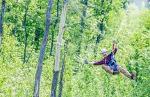 Minnesota's Premiere 7 Line Zipline Experience