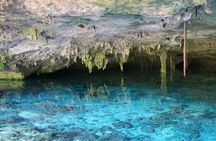 Half Day Semiprivate Snorkeling with Turtles and Majestic Cenote