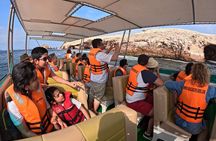 Ballestas Islands, Vineyards and Buggies in Huacachina from Ica