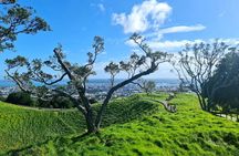 Auckland Half Day City Tour - Heart of Auckland