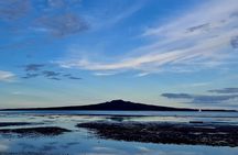 Auckland Half Day City Tour - Heart of Auckland