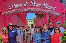Private Tour in Puerto Plata and La Playa
