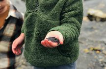 Custom Tour In Ketchikan