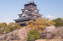 Hiroshima Private Tour for Shore Excursion