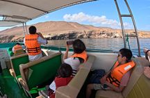 Ballestas Islands, Vineyards and Buggies in Huacachina from Paracas
