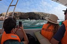 Ballestas Islands, Vineyards and Buggies in Huacachina from Paracas