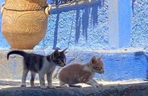 Morocco Tour 11 Days from Tangier