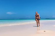 Kisite Mpunguti Dolphin Safari & Snorkeling with Wasini Island