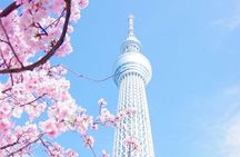Tokyo's Private Tour : From Ancient Temples to modern tokyo