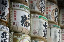 Tokyo's Private Tour : From Ancient Temples to modern tokyo