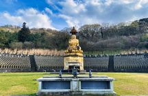 Eastern Jeju: All Inclusive Private Tour w/ Tangerine picking