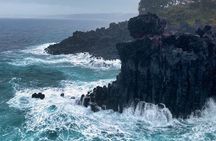 Eastern Jeju: All Inclusive Private Tour w/ Tangerine picking