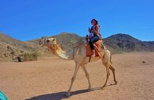 Hurghada Quad Bike Experience