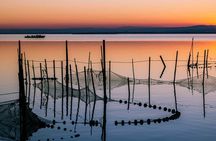 From Valencia: Albufera Natural Park with Sunset Boat Tour