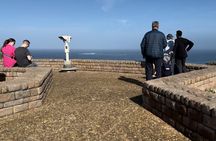 Cape Town Full Day Tour to Boulder Penguins and Cape of Good Hope