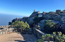 Explore Table Mountain, Kirstenbosch and Constantia Wineries Tour