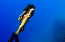 Ocean Safari Tour in Cabo San Lucas
