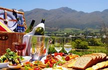 8 Hours Private Wine Tasting Tour in Stellenbosch to Franchhoek