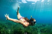 Guided snorkeling in the Portofino Marine Protected Area