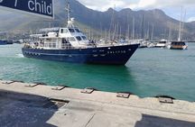 Table Mountain, Penguins, Cape of Good Hope: Private Tour
