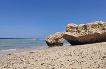  2 Days Eco Diving and Snorkeling Camp 