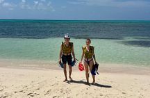 Cozumel Buggy Island Tour with Snorkel and Lunch 