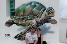 Cozumel Buggy Island Tour with Snorkel and Lunch 