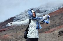 Private Cotopaxi National Park Horseback Ride hike for Beginners