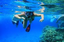 Private Snorkeling Activity in Key Largo