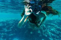 Private Snorkeling Activity in Key Largo