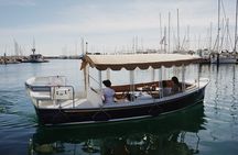 Private Harbor Cruise on Electric Boat in Santa Barbara 