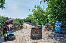 DMZ Tour from Seoul and the War Memorial of Korea Museum Visit