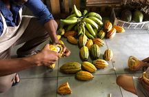 Authentic Limón: Downtown Walking Experience