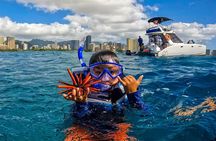 Snorkeling with Sea Turtles in Waikiki Hawaii Boat Tour