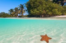 Contoy Island Tour from Cancun and Isla Mujeres with Snorkeling