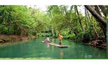 Montego bay: Lethe River Bamboo Rafting with Transportation