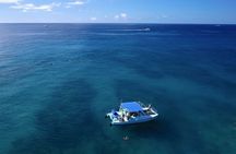 Snorkeling with Sea Turtles in Waikiki Hawaii Boat Tour