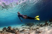 Tunku Abdul Rahman Park 2 Islands Hopping Tour from Kota Kinabalu