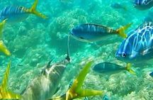 Glass Bottom Boat Water Activity in Montego Bay Jamaica