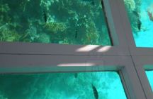 Glass Bottom Boat Water Activity in Montego Bay Jamaica