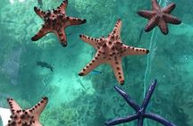 Glass Bottom Boat Water Activity in Montego Bay Jamaica