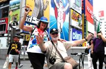 Barrier Free Osaka Private Full Day Tour for Wheelchair Users
