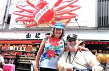 Barrier Free Osaka Private Full Day Tour for Wheelchair Users