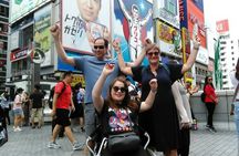 Barrier Free Osaka Private Full Day Tour for Wheelchair Users